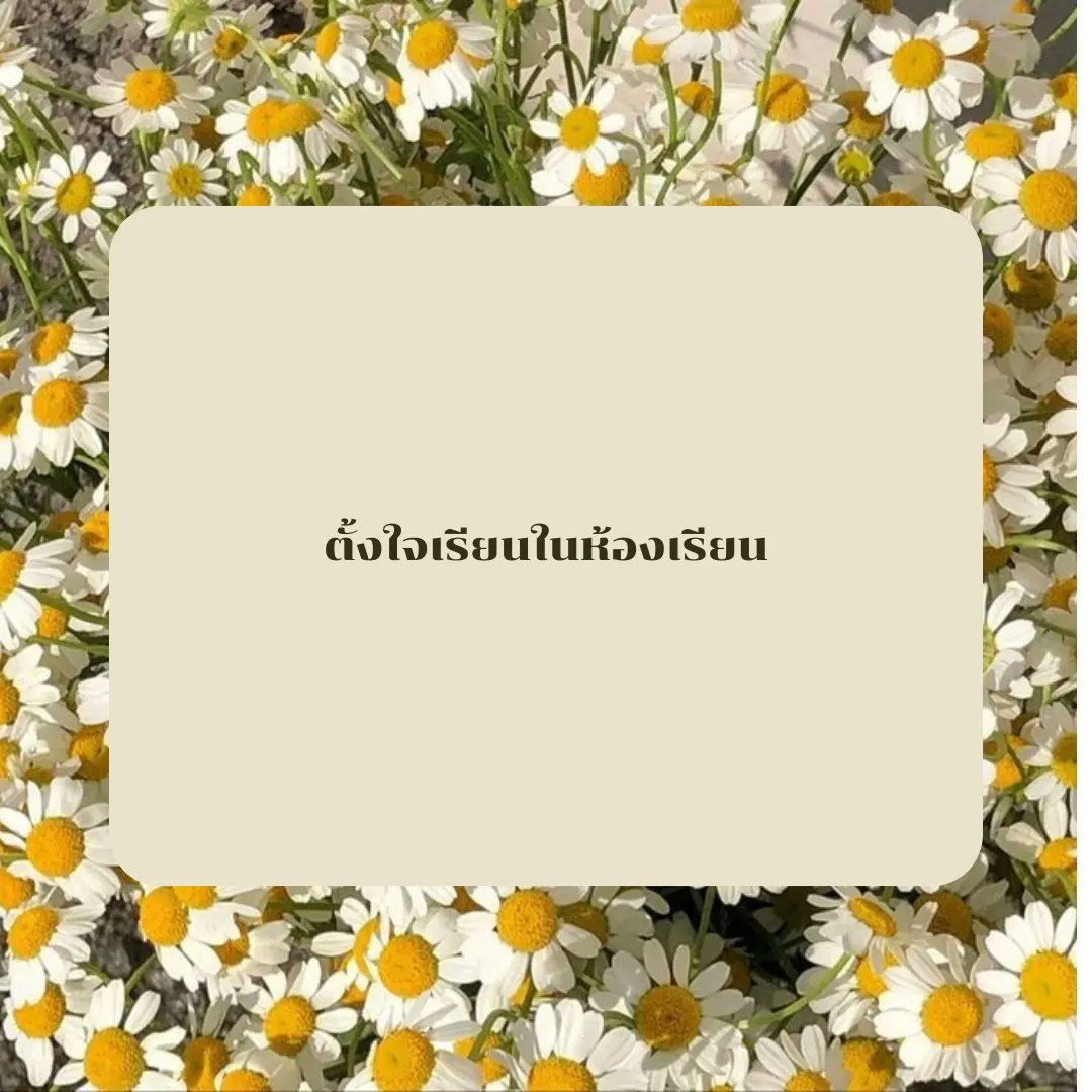 chamomilezone's tweet photo. เรียนยังไงให้เกรดดีขึ้น
.
.
.
.
#chamomilezone #รับให้คำปรึกษา #จิตวิทยา #ปัญหาในชีวิต https://t.co/uQFrFsQDfA