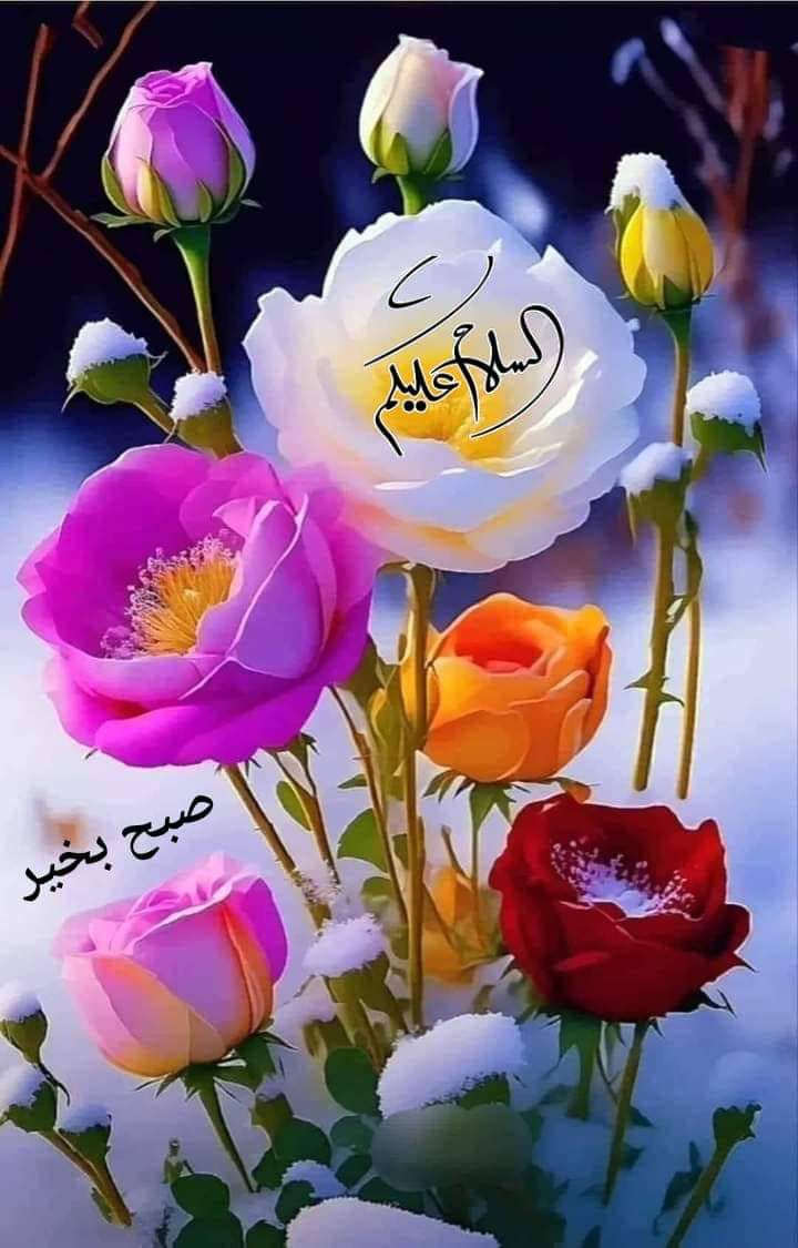 Tari1133's tweet photo. Aslam o Alikum Good Morning
 #LALALI_HHU_MV_IsRightHere #leaks https://t.co/SjvIHfxagG