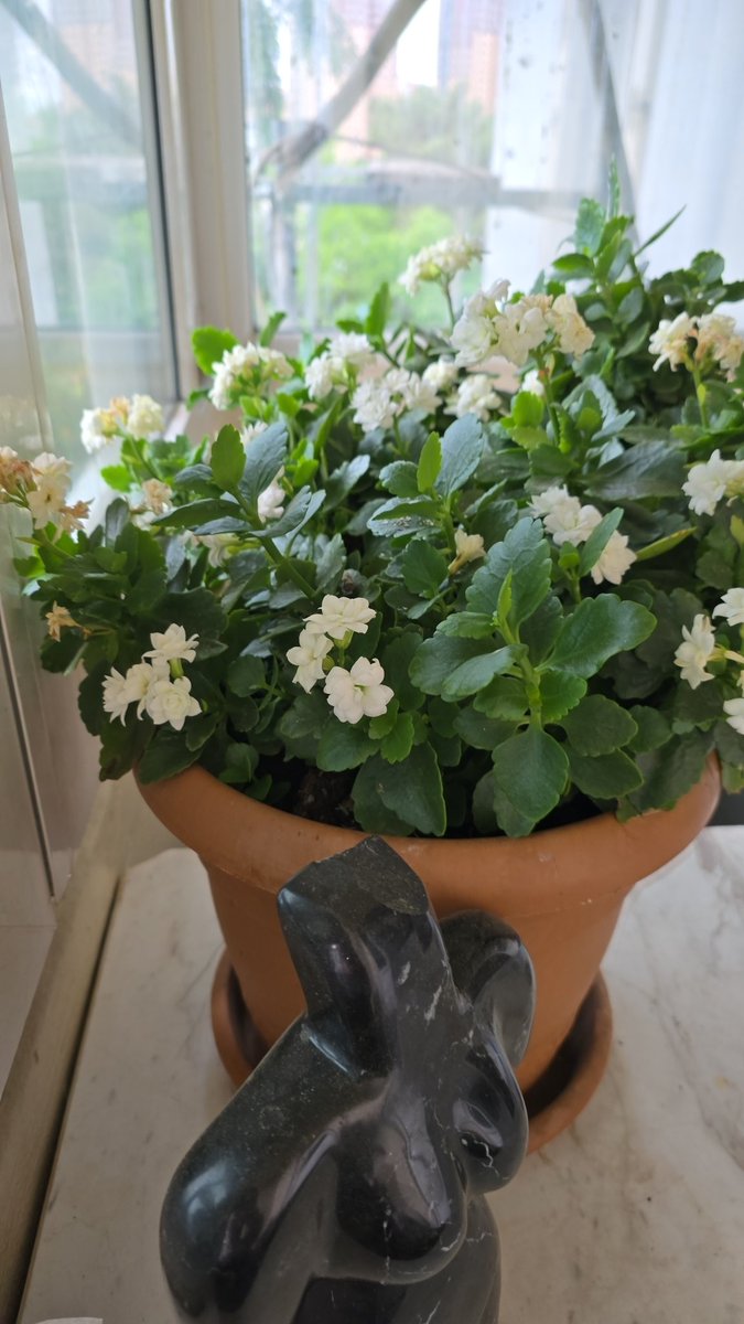 Çiçeği açıtıgı için sevinen hayat arkadaşlarınız olsun ..:)