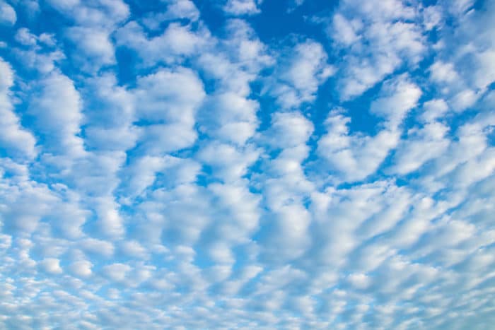 #Buongiorno⏰️

#10mag24

#ComeNuvoleNellaria su

#VentagliDiParole 

'Le nuvole nel cielo assomigliano molto ai pensieri nelle nostri menti,entrambi cambiano continuamente da un momento all'altro'

M.MURAT ILDAN