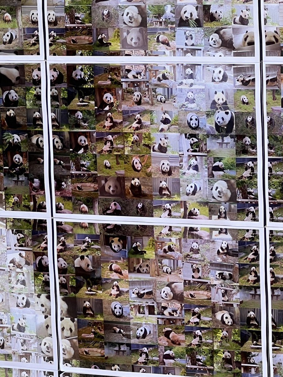 タンタン追悼式の取材に来ております。タンタンの写真で作られた、特大タンタンが飾られています。園の皆さんの愛情がたっぷり詰まった作品。眺めていると涙が出そう。　#パンダ自身 #タンタン #神戸市立王子動物園