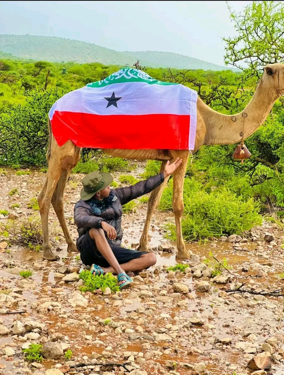 Ma dhace Calankayga Bilan #Somaliland #18MAY2024