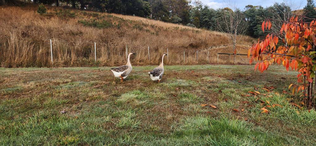 Got to meet Thelma and Louise today