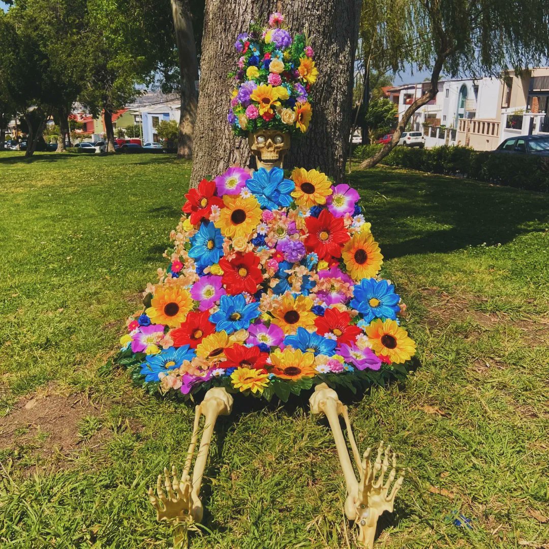 rnlango's tweet photo. Panchito our beloved https://t.co/HENRLr4FwF