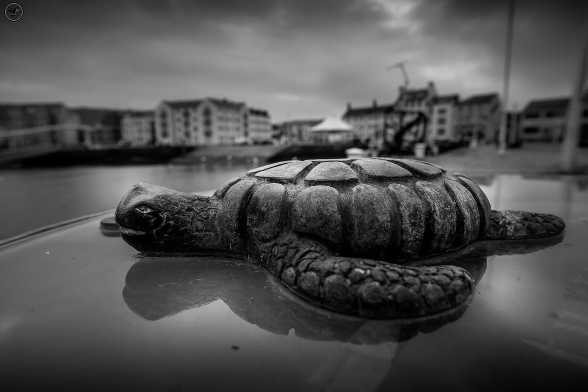 Turtle Time #lakedistrict #cumbria #fuji #fujifilm #landscapephotography #photography #harbour #boats #yachts #whitehaven #blackandwhitephotography #monochrome #clouds #water #photographer #turtle