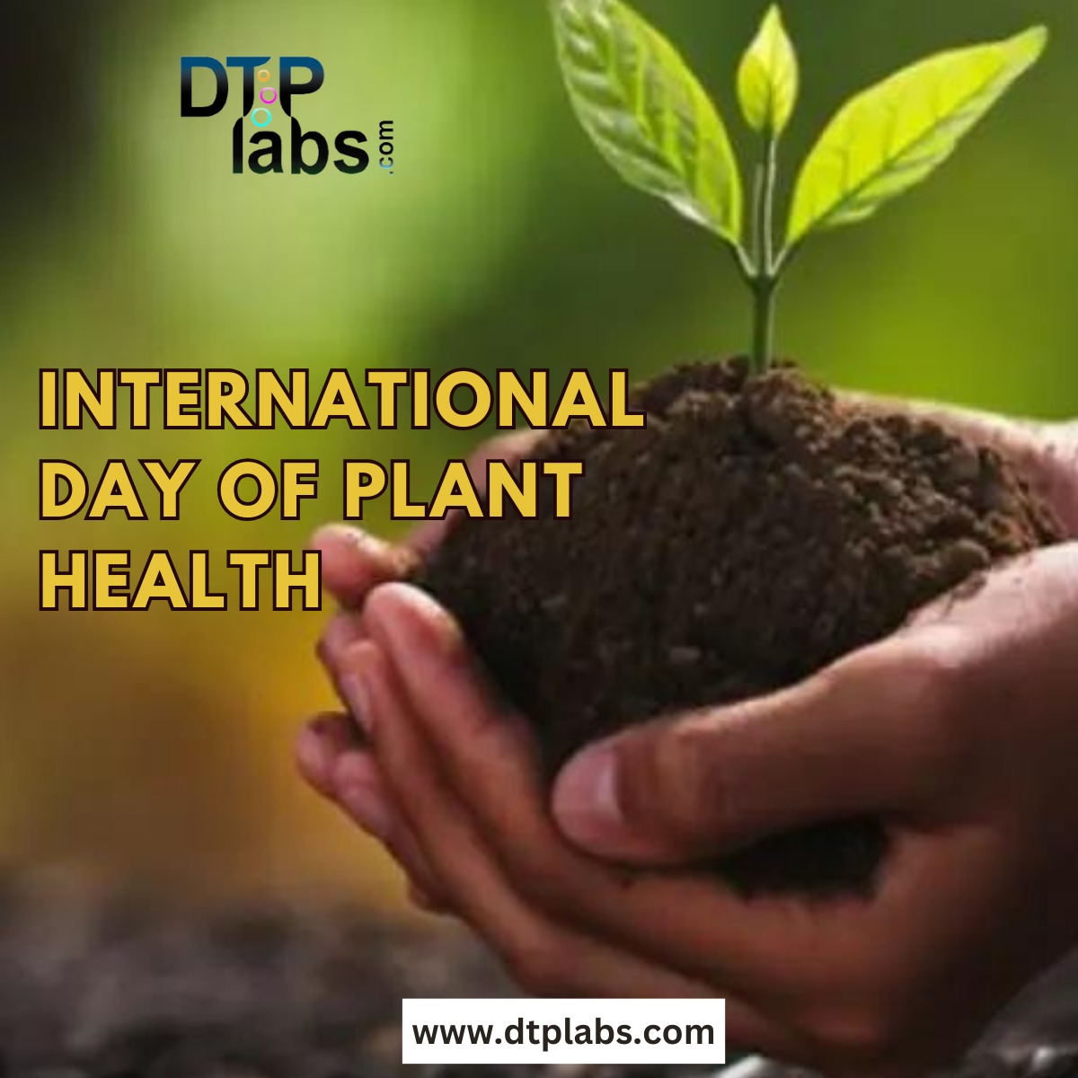 Happy International Plant Health Day!  Let's celebrate the vital role plants play in our lives and raise awareness about the importance of protecting their health. Together, we can ensure a greener, healthier future!

.

.

.

#PlantHealth #IntlPlantHealthDay #dtplabs