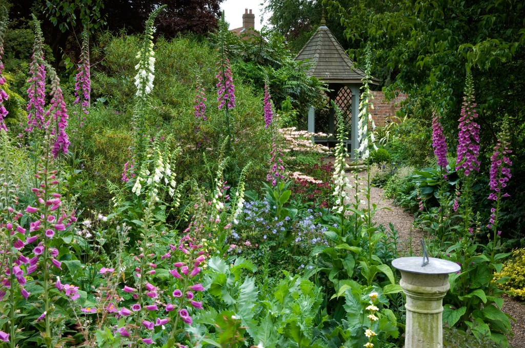 📷️The Old Vicarage. Whixley Gardens The Old Vicarage is one of three gardens open in Whixley village this Sunday 12 May as well as Wednesday 12 June Head to our website to read more about the gardens and plan your garden visit👇️ findagarden.ngs.org.uk/garden/17966/w… #daysout #getoutside