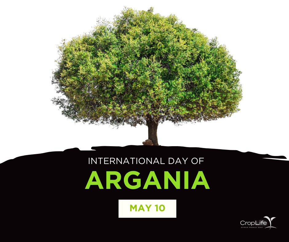 Celebrate the remarkable Argan tree! 🌳 Native to Morocco, it's vital for sustainable agriculture. At CropLife AME, we're committed to its protection through sustainable pesticide management. Join us in building a brighter agricultural future! 🌱 #InternationalDayOfArgania