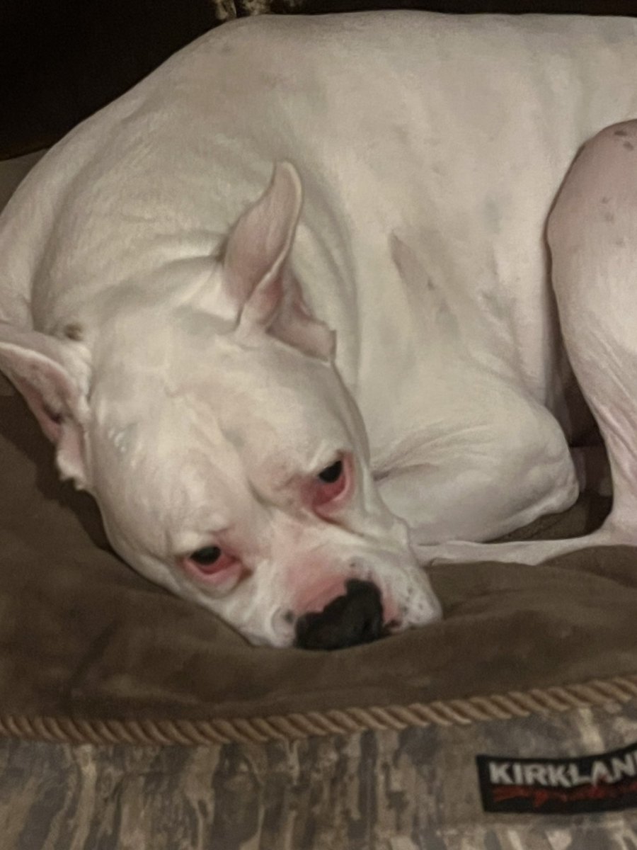 mattkrol's tweet image. He looks so annoyed #altitudechat @kylekeefetv