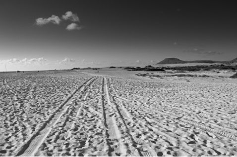 Tracks #beach #sand #leadinglines #nikonphotography
#blackandwhitephotography
#photography
#findyourepic
#Welshphotography

Visit delweddauimages.co.uk