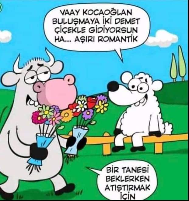 Bir erkeğin romantizm seviyesi Max bu olmalı afsjs:)))