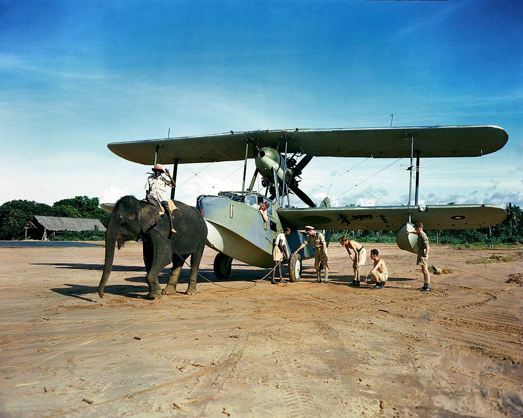 El elefante y la morsa. Posiblemente en Trincomalee, Sri Lanka, en la base llamada RAF China Bay. #SGM #IIWW #2GM #WW2 #HISTORY #HISTORIA