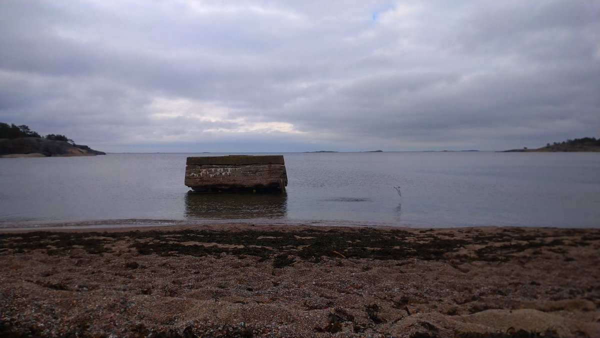 #Aamupulahdus, ensin tiira ja sitten minä. Paljain varpain, aamu tuntuu optimistista yön sateen jäljiltä lämpimältä. Pihassa oli eilen västäräkki, enää vähäsen jäljellä.