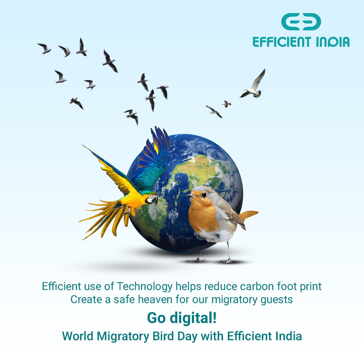 Efficient use of Technology helps reduce carbon foot print Create a safe heaven for our migratory guests Go digital! World Migratory Bird Day with Efficient India.

#Efficient #efficientindia #websitedesign #migratory #MigratoryBirdDay #migratoryspecies #bird #migratoryshore