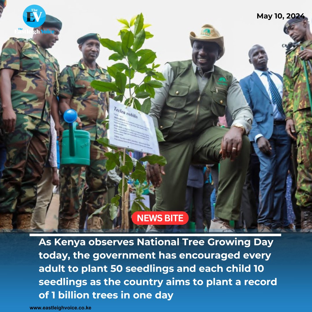 Eastleighvoice's tweet image. TREE GROWING DAY: Kenya sets to break record of planting 1 billion trees in one day
#treeplantingday