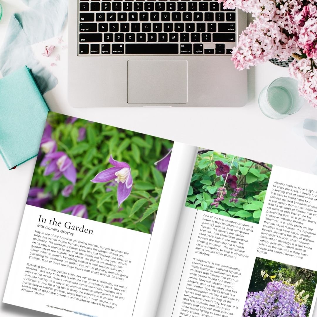 Handpicked Local (@handpickedlocal) on Twitter photo In the Garden with @camillagraley πΈπΏ
Camilla explores Spring flowering climbers in this month's column. Perfect for adding height/using the verticals in the garden π‘π
Read the full article bit.ly/HPLMagMay24
#Gardening #Handpicked #Wetherby #Harrogate #Leeds #York In the Garden with @camillagraley πΈπΏ
Camilla explores Spring flowering climbers in this month's column. Perfect for adding height/using the verticals in the garden π‘π
Read the full article bit.ly/HPLMagMay24
#Gardening #Handpicked #Wetherby #Harrogate #Leeds #York