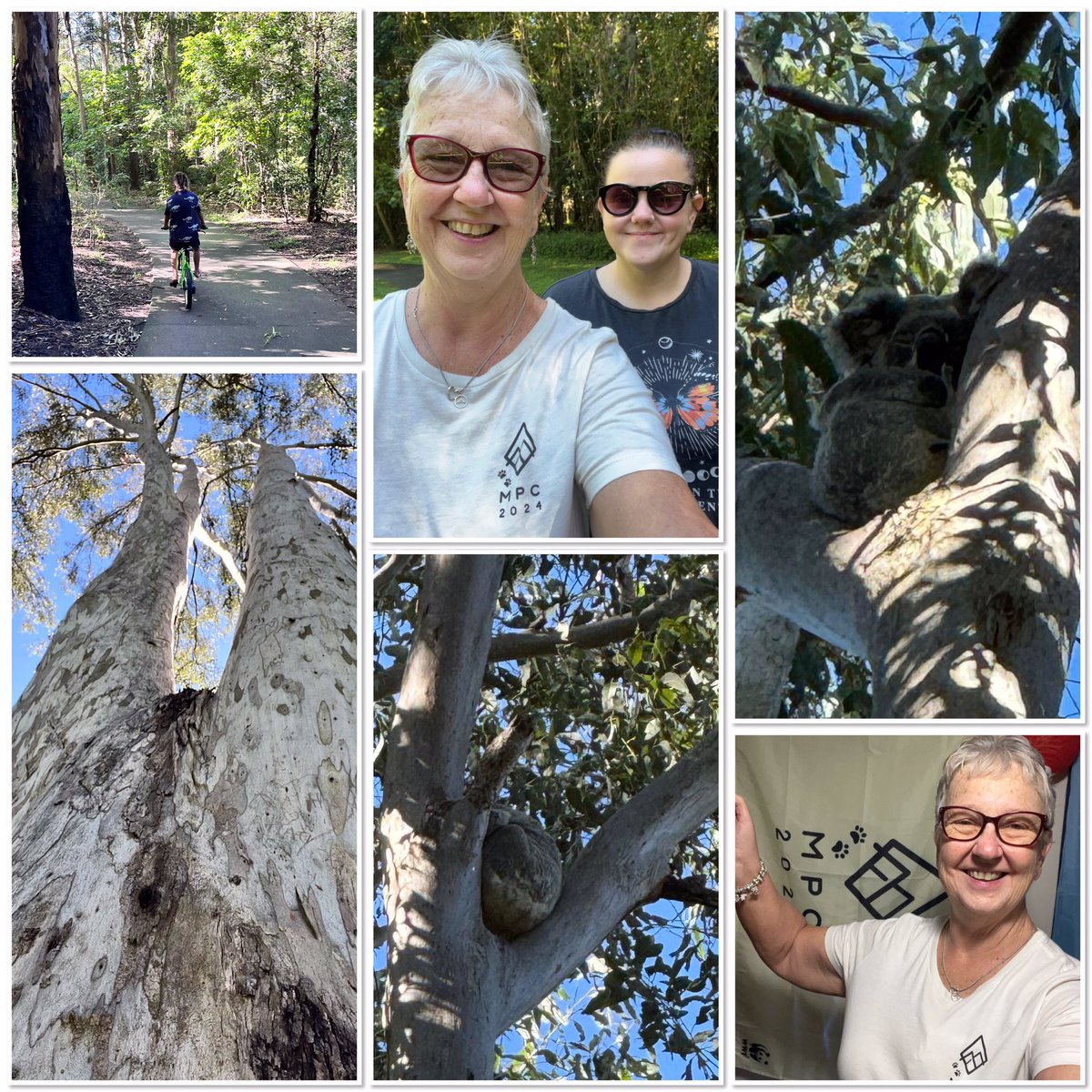 Boxing 🥊 with Coach Pearl 🥊 to start my day then I met Danielle at Alexander Clark Park for a lovely 5k walk seeing a couple of koalas 🐨along the way 🐨 nice way to get my steps in for #walkforautism 👟👟 #MPC2024 #aussiepeakes @MyPeakChallenge