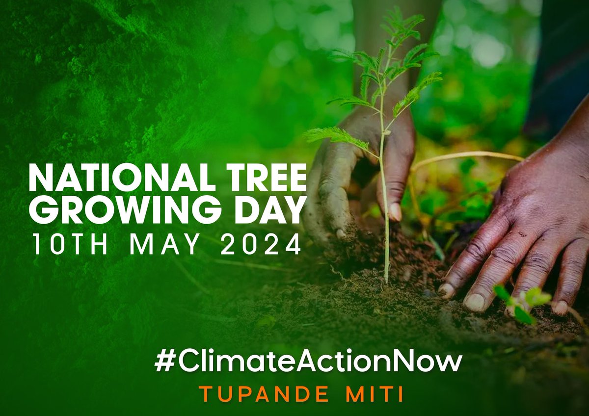 Today on national tree growing day let's embrace the measures and keep our environment green #ClimateActionNow Tupande miti @Environment_Ke
