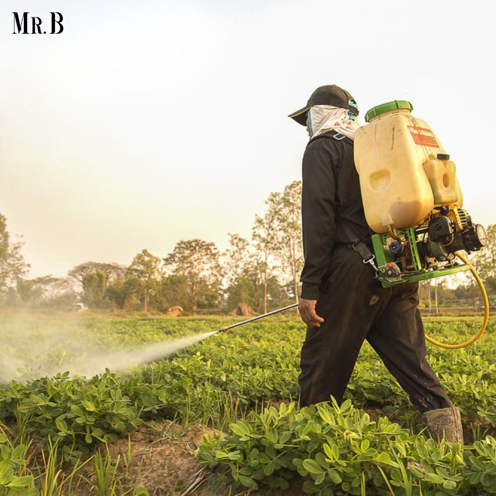 ✔The Paraquat Lawsuit: Understanding the Controversy, Risks, and Legal Battles For more Information 📕Read - mrbusinessmagazine.com/the-paraquat-l… And get insights #AgriculturalChemicals #FarmersHealth #PublicSafety #EnvironmentalImpact #LegalAction #MrBusinessMagazine