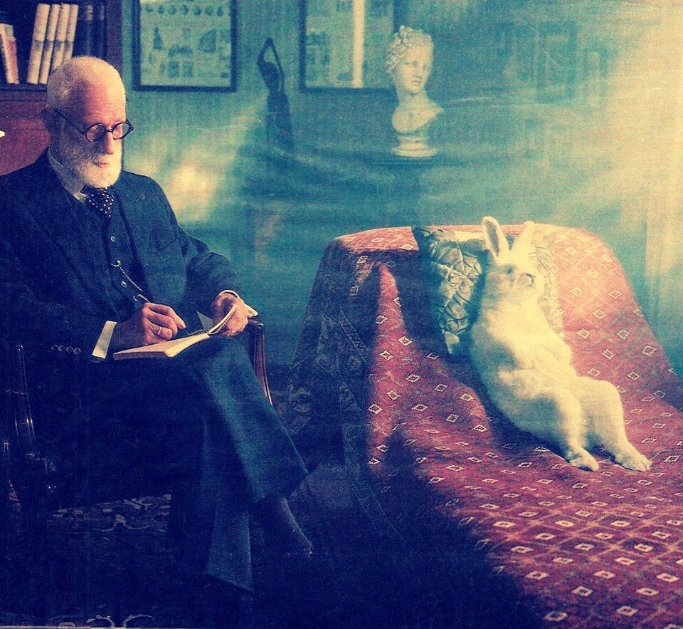 Sigmund Freud: 'Ne yazık ki sizden bir timsah yapamayız sayın Tavşan. Ama dilerseniz havuçla aranızı düzeltmeye çalışabiliriz.'