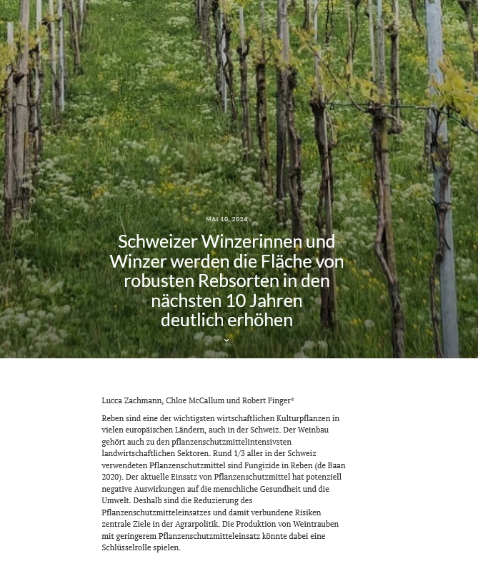 Schweizer Winzerinnen und Winzer werden die Fläche von robusten Rebsorten in den nächsten 10 Jahren deutlich erhöhen Neuer Agrarpolitik Blog, Lead: @lucca_zachmann mit @ChloeMcCallum_ agrarpolitik-blog.com/2024/05/10/sch…