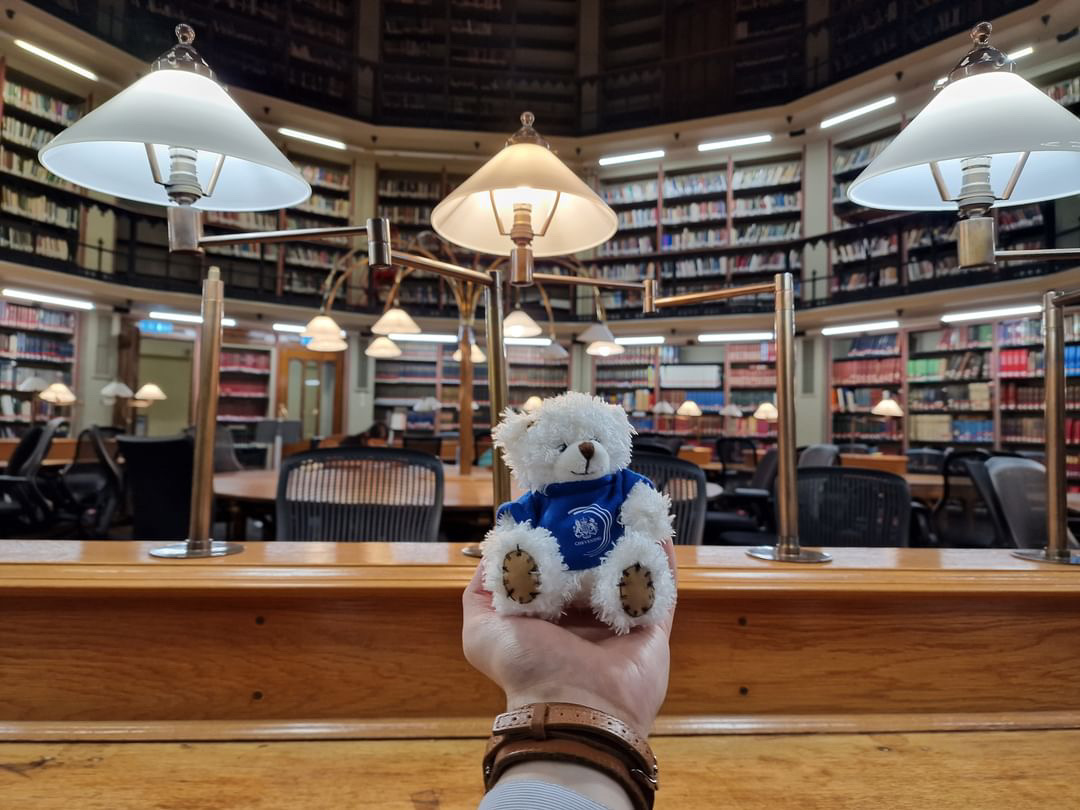 When it comes to finding the perfect study spot, our #Chevening Scholars are spoilt for choice! ✨ Which option would you choose? 1. Radcliffe Camera Library (@UniofOxford) 2. Maughan Library (@KingsCollegeLon) 3. Wills Memorial Library (@BristolUni) chevening.org/partners/