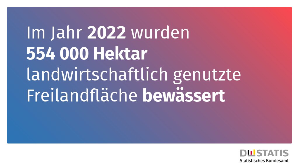 Im Jahr 2022 wurde mit rund 554 000 Hektar etwa 3,3 % der landwirtschaftlich genutzten Freilandfläche in Deutschland bewässert. Die Fläche war damit um fast die Hälfte größer als im Jahr 2009. Weitere Infos zur Bewässerung in der #Landwirtschaft: destatis.de/DE/Presse/Pres…