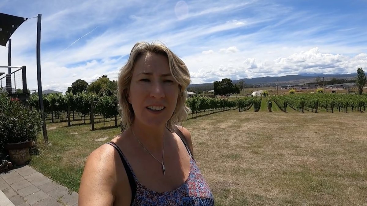 Tamar Valley Wineries Launceston, Tasmania. Join me as I sample some of the best #AustralianWines on this fab #WineTasting tour #Tasmania with Tamar Valley Wine Tours. I become partial to the sparkling, rose & Pinot Noir! Not to miss for wine enthusiasts youtu.be/4VUuVHRndgQ