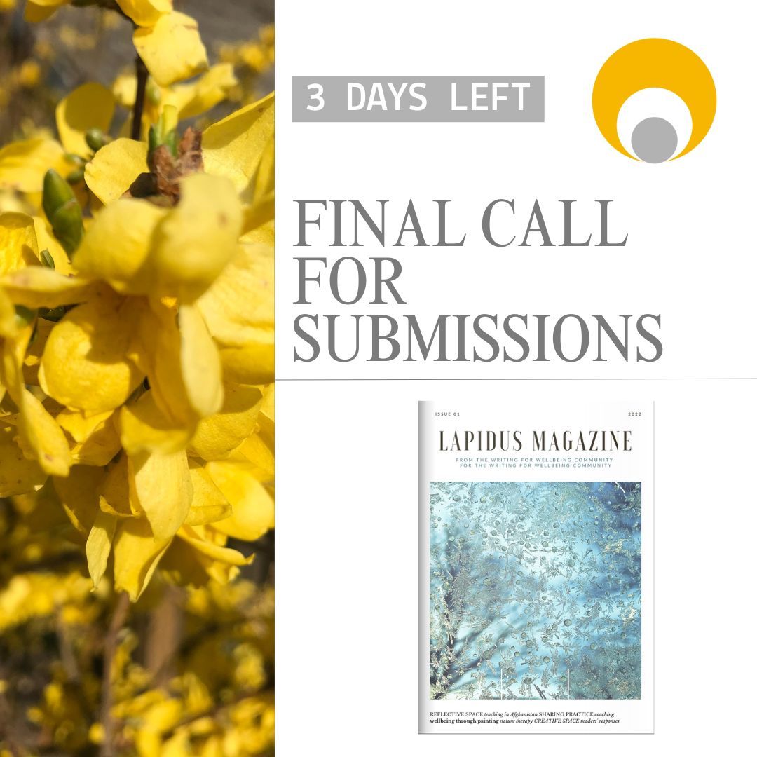 Submissions for the Lapidus Magazine and the new ASK column close THIS Monday! If you have anything to submit, now is the time to send it in to us using the details below. Magazine entries: lapidus.org.uk/members/magazi… ASK Column: ask@lapidus.org.