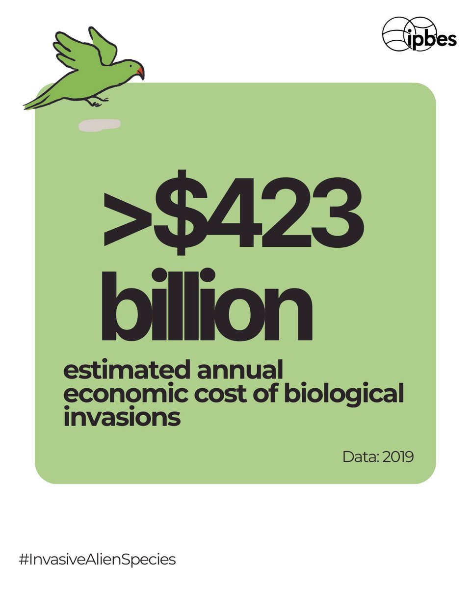 Invasive alien species not only cause real damage to #biodiversity, they also cost the global economy more than $423 billion a year in 2019, with costs having at least quadrupled every decade since 1970. 📈 IPBES #InvasiveAlienSpecies Assessment Report ipbes.net/IASmediarelease