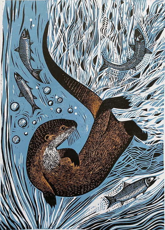 'Hunting otter' by printmaker Jane Dignum #WomensArt