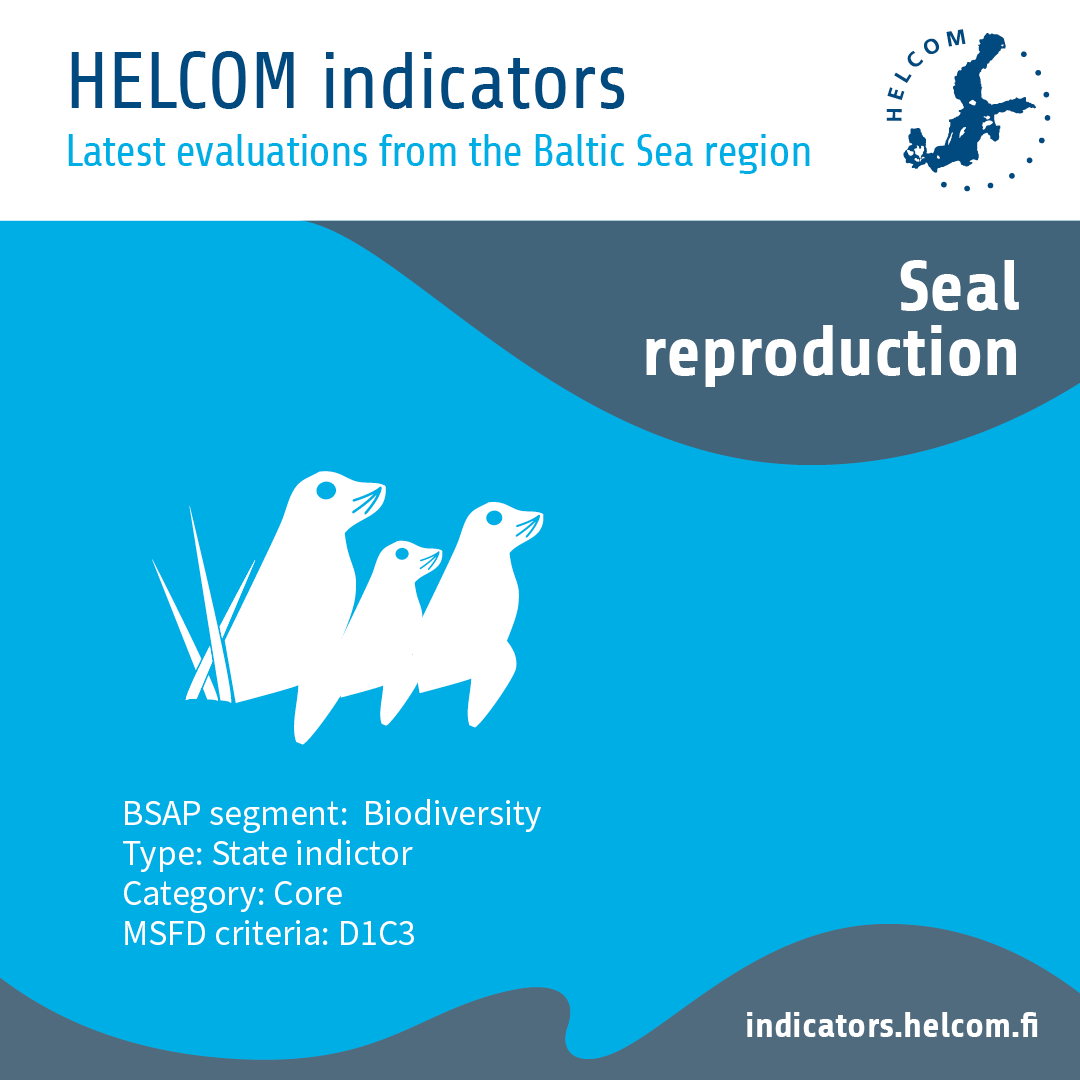 Indicator of the week: Seal reproduction This indicator evaluates reproductive status of grey & ringed seals. Good status is achieved at 90% annual pregnancy rate. Both species fail to reach this in the Baltic Sea. ow.ly/Sn8r50RuGf5 #HELCOMindicators #BSAP #HOLAS3
