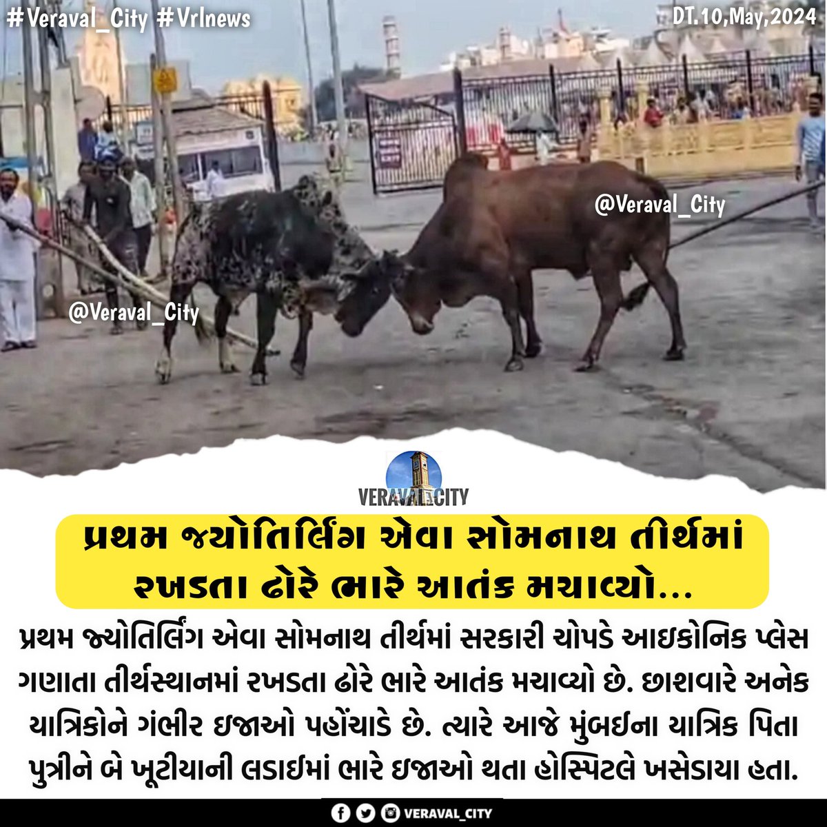 પ્રથમ જ્યોતિર્લિંગ એવા સોમનાથ તીર્થમાં રખડતા ઢોરે ભારે આતંક મચાવ્યો...
.

#Somnathtemple #Veraval_City #VrlNews #Somnathtrust #harharmahadev🙏🌿🕉️ #eurovisiongr #bullfight #firstjyotirling #veravalupdates