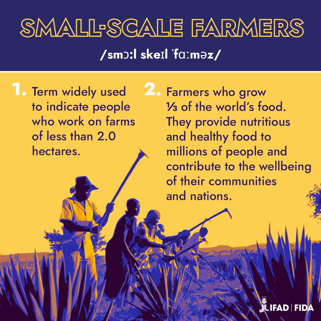 𝟯. The most direct investment we can make in a sustainable future for the whole planet 🌟 #InvestInRuralPeople