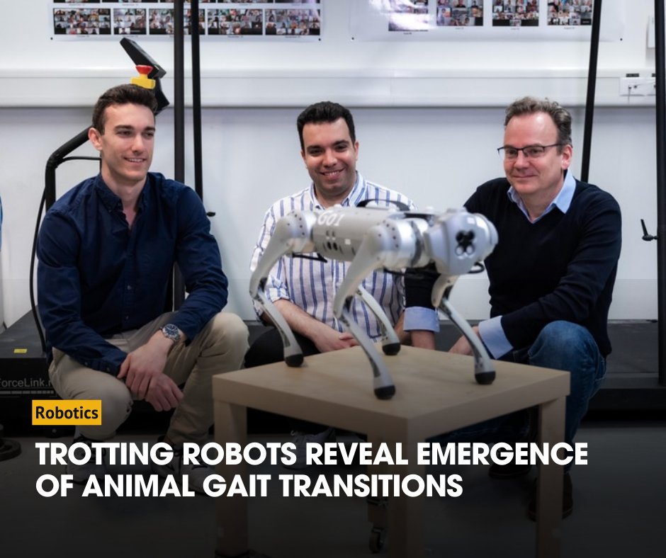 A four-legged #robot trained with machine learning by @EPFL researchers has learned to avoid falls by spontaneously switching between walking, trotting, and pronking – a milestone for roboticists as well as biologists interested in animal locomotion. wevolver.com/article/trotti…