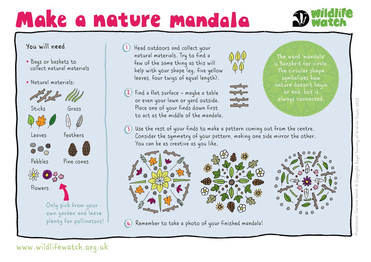 Get creative this weekend by making a nature mandala! 💚 If you're looking for more wild activities check out our website 👉 wildlifewatch.org.uk/activities