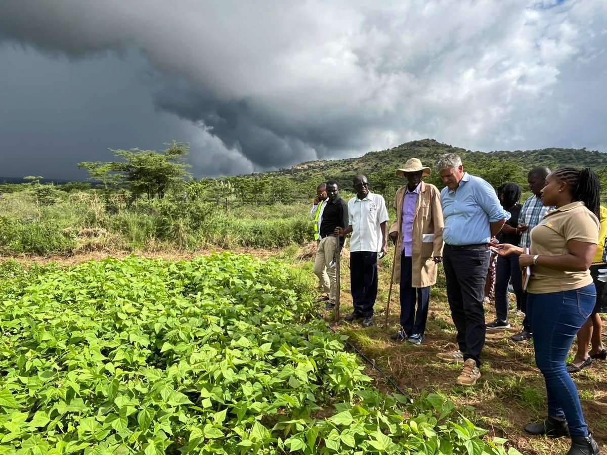 The Netherlands Deputy Ambassador Mr Joris van Bommel held discussions on @FLLOCAKenya Initiative with @LaikipiaCountyG, @GVNJoshuaIrungu to rollout climate actions under this intiative. To get Laikipia ready, there is synergy with Embassy funded @SNV_Kenya LISTEN project.