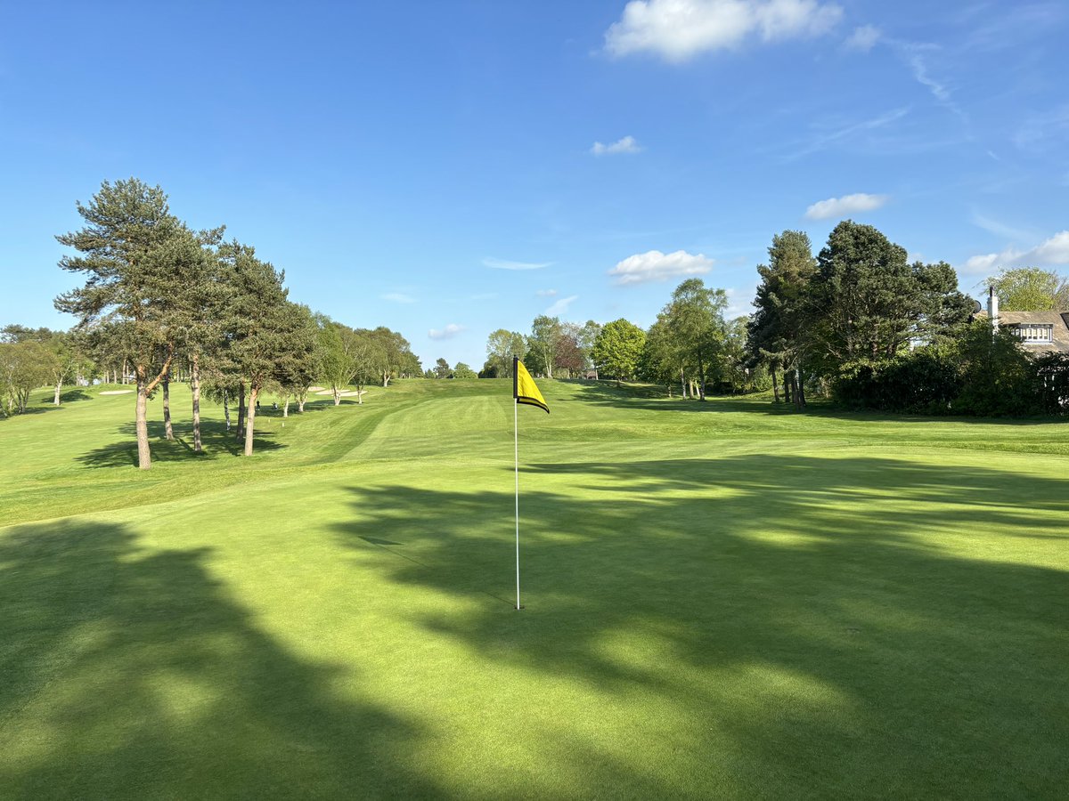 First visit to @SandMoorGC since pre-pandemic, when, in all honesty, it seemed a little tired. It was stunning last night. A credit to the greens staff and to the club for the vision to invest in their special MacKenzie course. Is there a better set of short holes in Yorkshire?