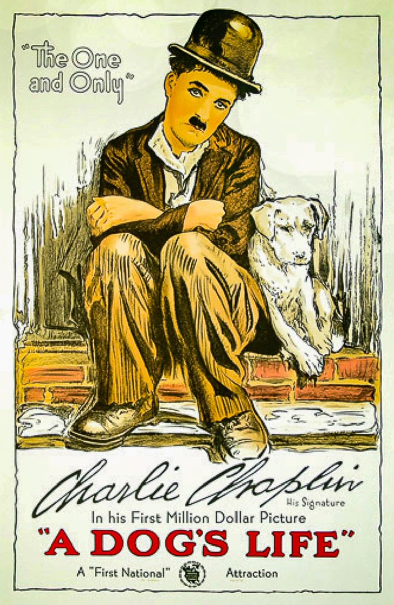 My DVR is going to explode any day now because it's filled. 

#NowWatching #235 'A Dogs Life' (1918) #CharlieChaplin #EricCampbell #Edna Purviance #ClassicMovies #ClassicFilms #OldHollywood #TCM #TCMParty #SilentSundayNights #SilentMovies #SilentFilms #2024MyMovieList