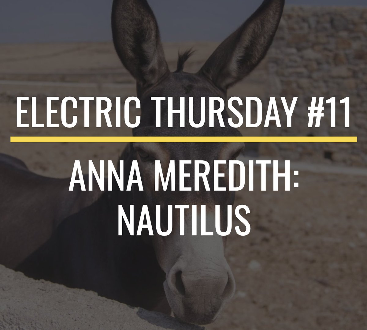 Martin Suckling tweet media