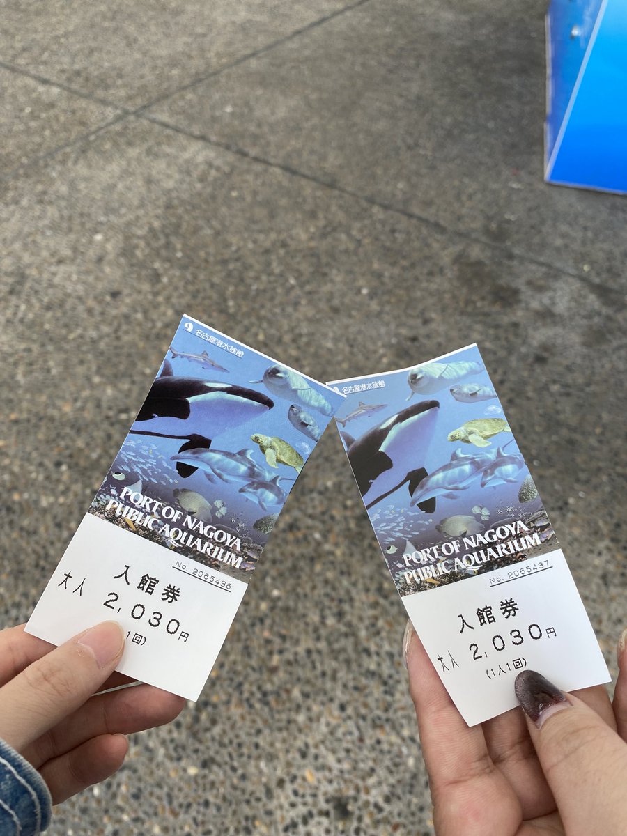 わくわく🐬