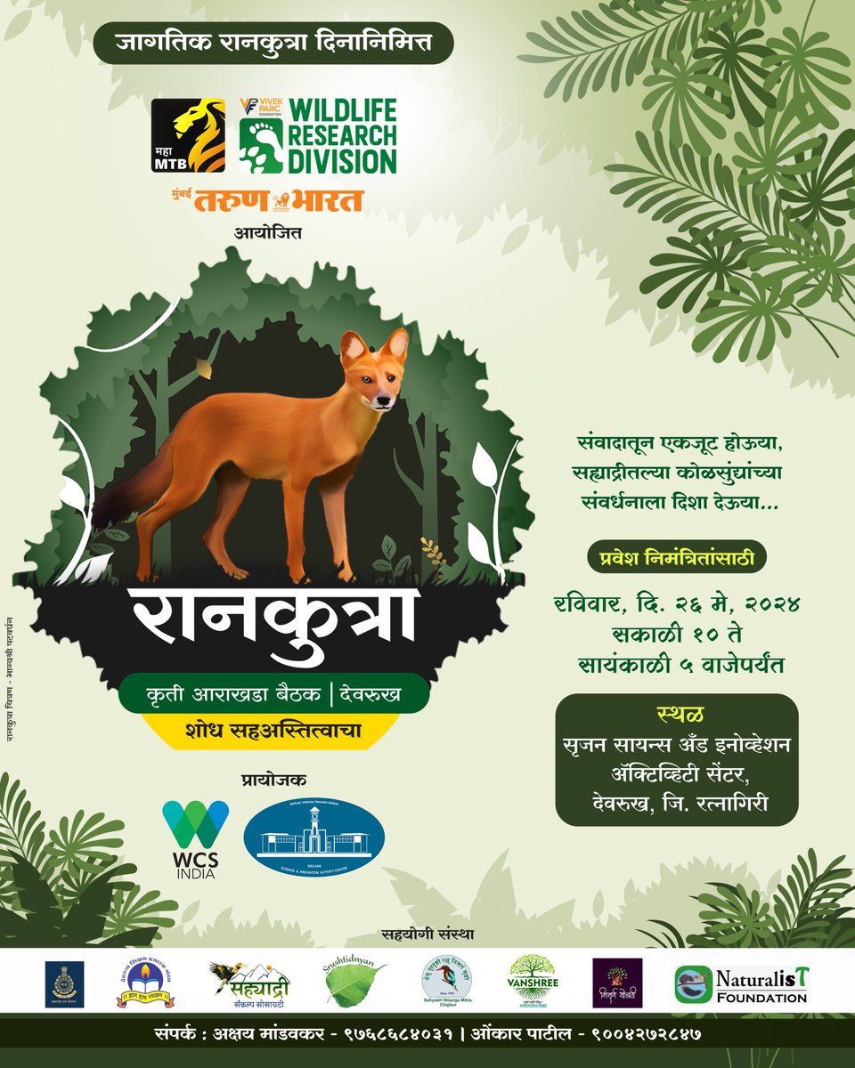 @TheMahaMTB & @parcfornation organize Dhole Action Plan Meeting - Devrukh Let's have an action-driven discussion for conservation of the Dholes of Sahyadri. Sunday, 26 May - 2024, 10 AM To 5 PM @ranjeetnature @WCSIndia @TamhiniGhat @tweetsvirat @Prateik_more @rinkitagurav