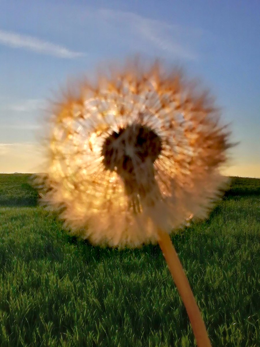Schönen guten Morgen zusammen 🥐☕