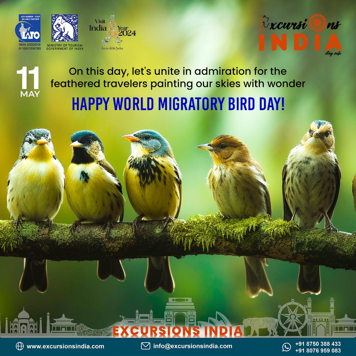 Spread your wings with World Migratory Bird Day and let's soar together towards a brighter, greener future for our feathered friends and their amazing migrations!
#excursions #excursionsindia #tourism #migratory #MigratoryBirdDay #migratoryspecies #bird #migratoryshorebirds