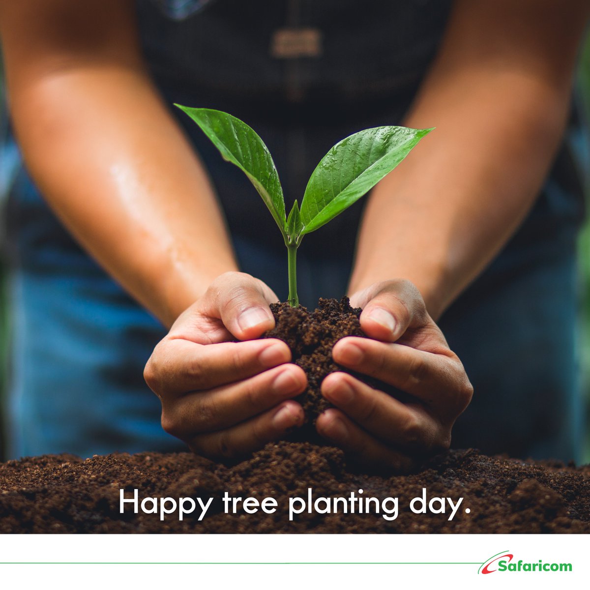 Happy Tree Planting Day! 

Let's all plant a tree today for the benefit of the environment and the future generation. Great things happen when we come together!

Have you planted a tree today?

#PlantATree
