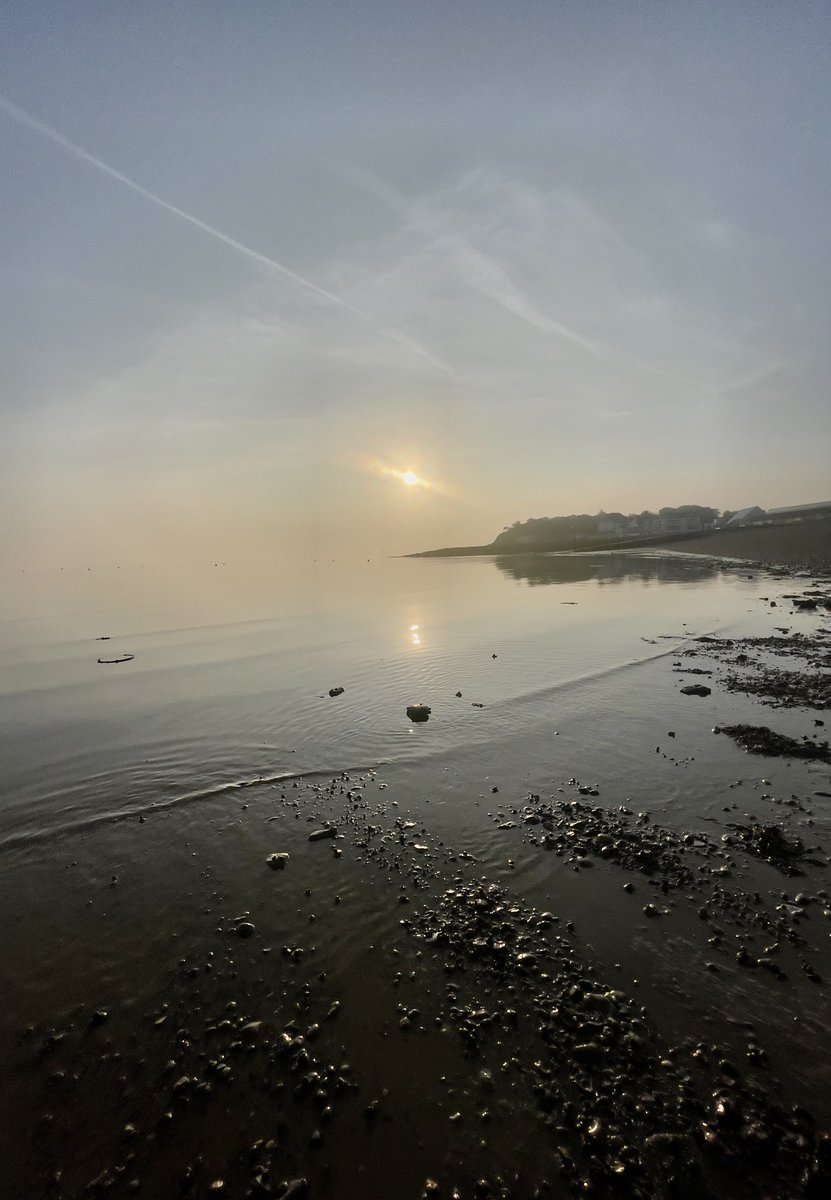 Whitstable , this morning