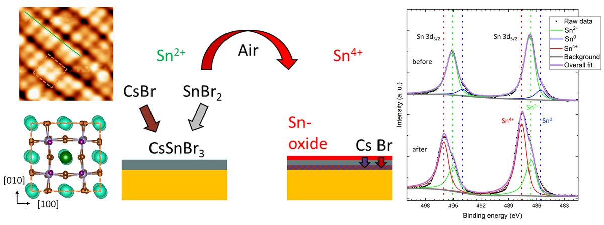 Our paper on epitaxially grown cesium tin bromide perovskite CsSnBr3 on Au(111) and Au(100) has been published in Advanced Functional Materials! onlinelibrary.wiley.com/doi/10.1002/ad…