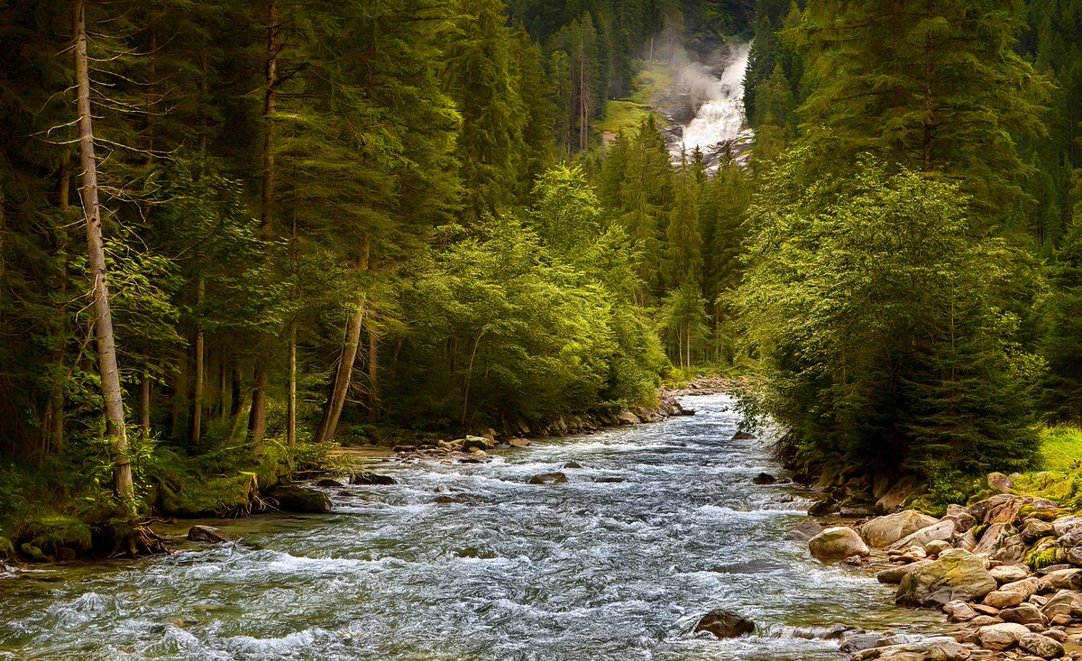 Do you want to capture the wonder of nature? See how you can improve your equipment. #photo #wood #nature #river #tree #advantures tinyurl.com/photo-camera