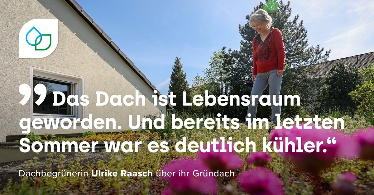 Ulrike Raasch ist stolze Gründachbesitzerin und trägt so einen Teil zur #Klimafolgenanpassung in der #Emscherregion bei. Anderen Eigentümer*innen kann sie eine Anschaffung nur ans Herz legen.💚 #Dachmitplus #KlimaWerk
Mehr unter: klima-werk.de/gruendachfoerd…