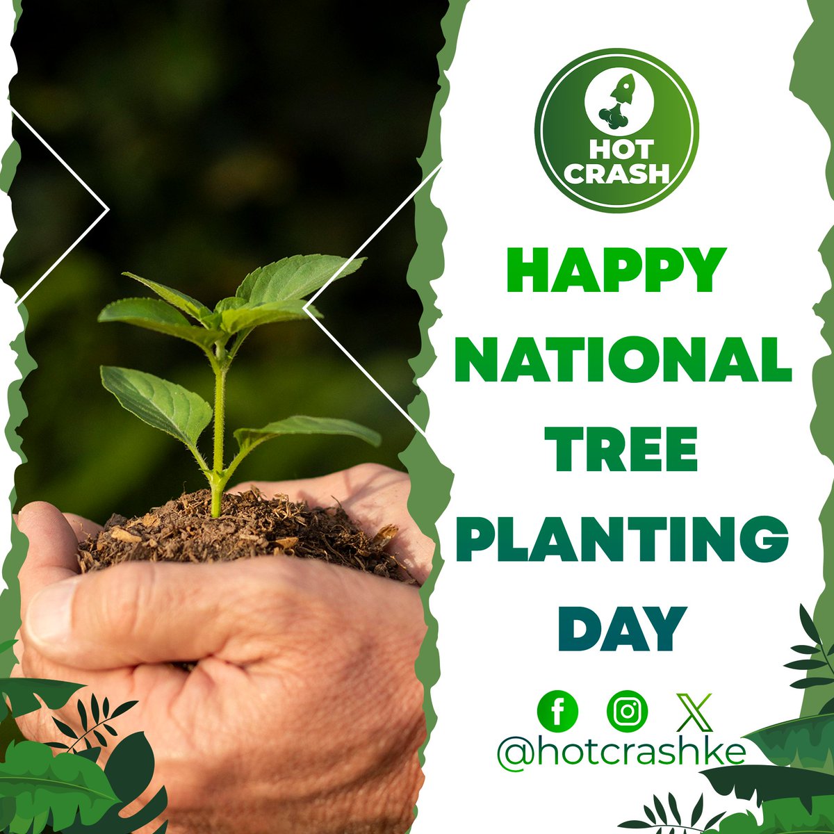 Happy National Tree Planting Day! Let's grow a greener tomorrow together! 🌱🌍 #PlantForThePlanet #GreenFuture #HappyNationalTreePlantingDay !